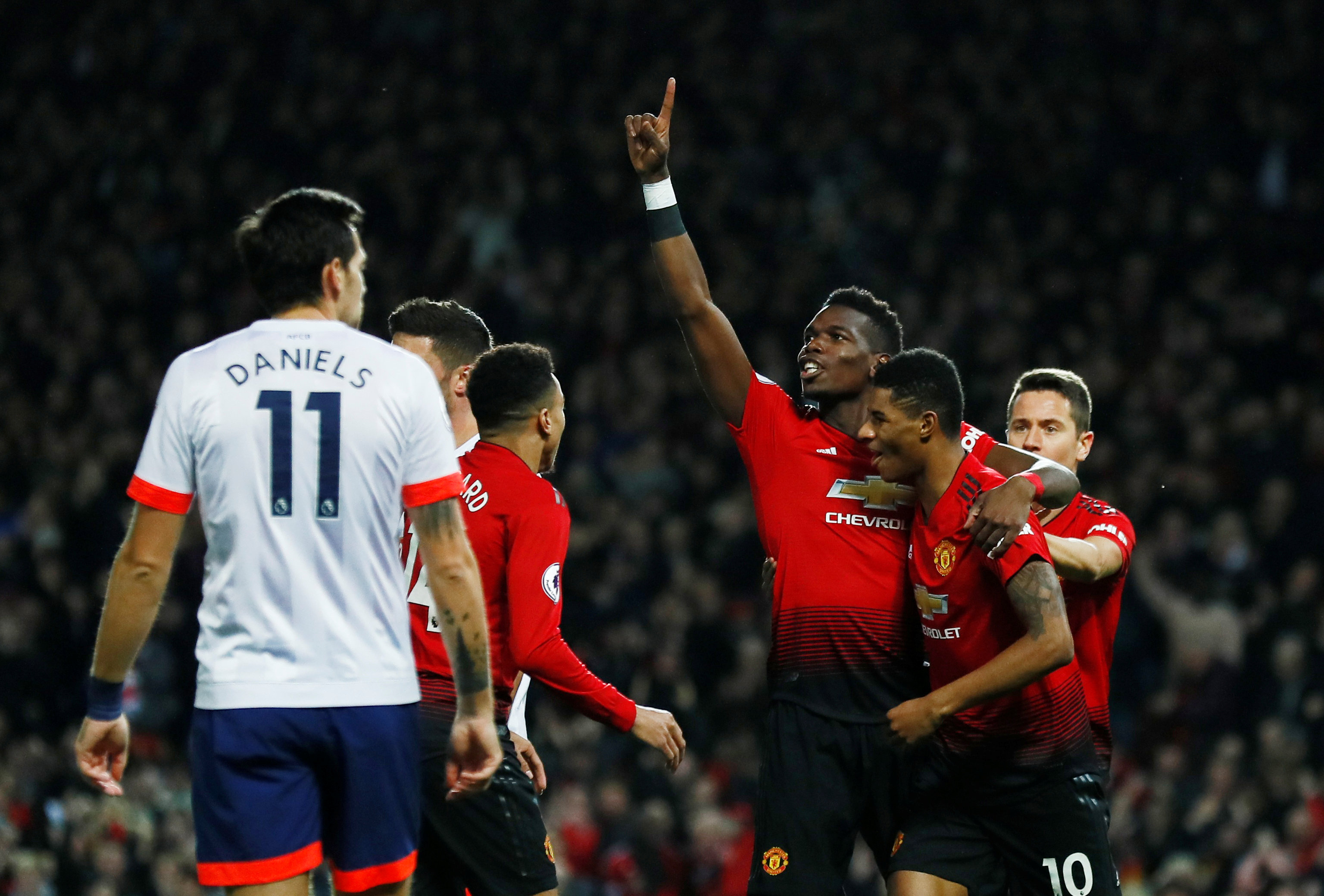 的见解不仅 的见解不仅